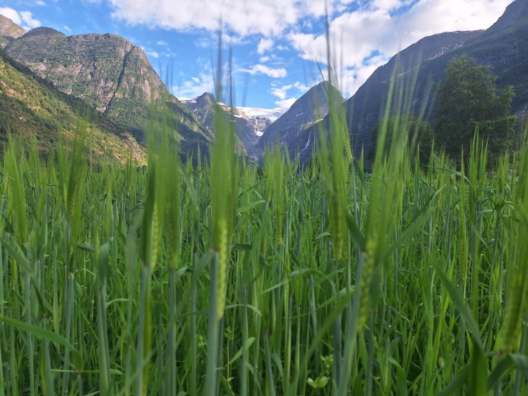 Microen Stryn Exterior foto